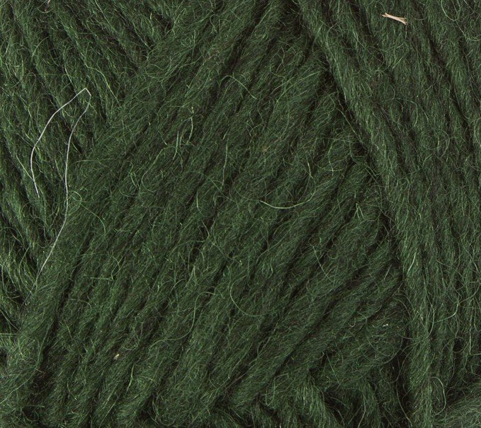 Photo of Yarn in Garden Green from Lopi-Alafosslopi