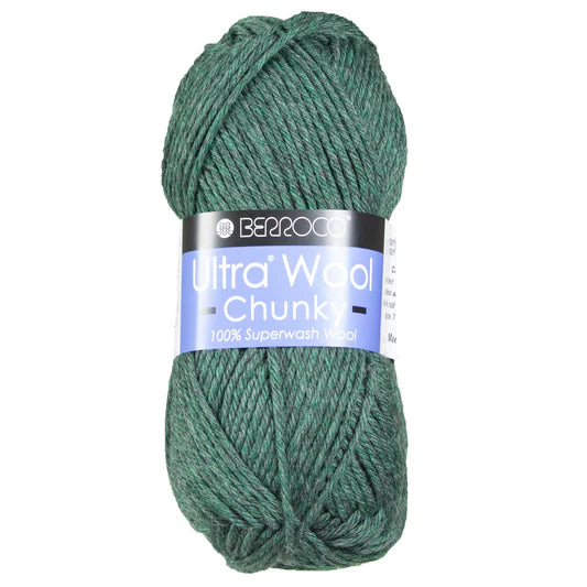 Photo of Yarn in Rosemary from Berroco-Ultra Wool Chunky