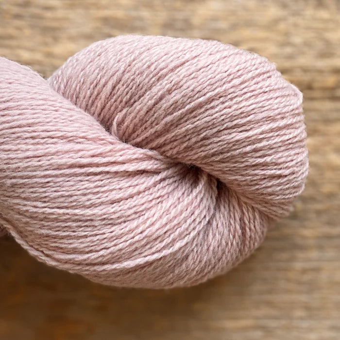 Photo of Yarn in Conch from Juniper Moon Farm-Patagonia