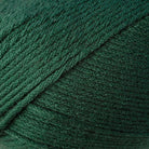 Photo of Yarn in Spruce from Berroco-Comfort