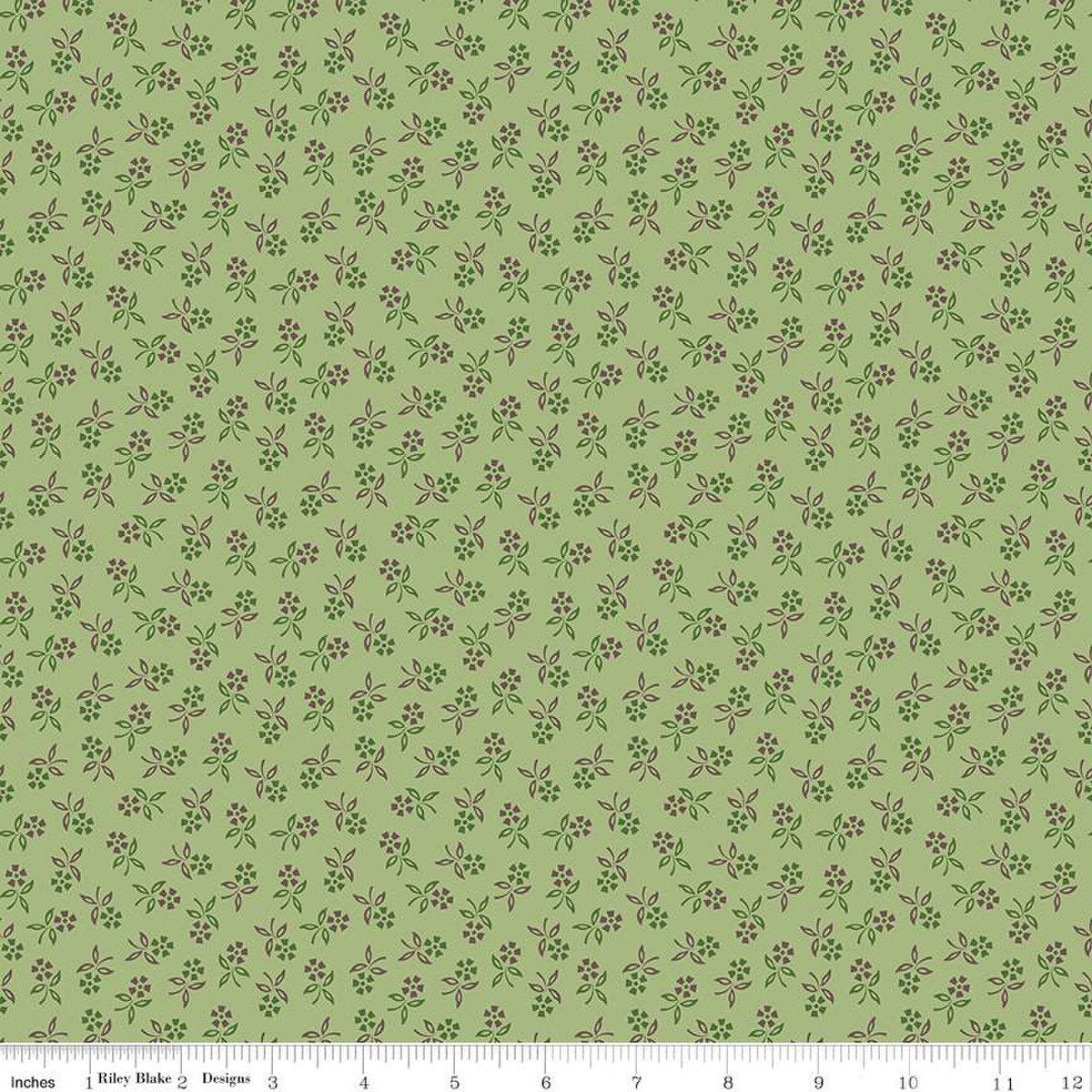 Photo of Riley Blake Designs 100% Cotton Fabric in Lettuce Perennial from Autumn - 44"/45" Wide Fabric