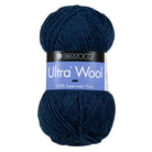 Photo of Yarn in Ocean from Berroco-Ultra Wool