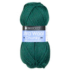 Photo of Yarn in Pine from Berroco-Ultra Wool Chunky
