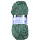 Photo of Yarn in Rosemary from Berroco-Ultra Wool Chunky