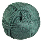 Photo of Yarn in Rosemary from Berroco-Ultra Wool Chunky