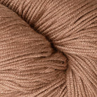 Photo of Yarn in Iggy from Berroco-Modern Cotton DK