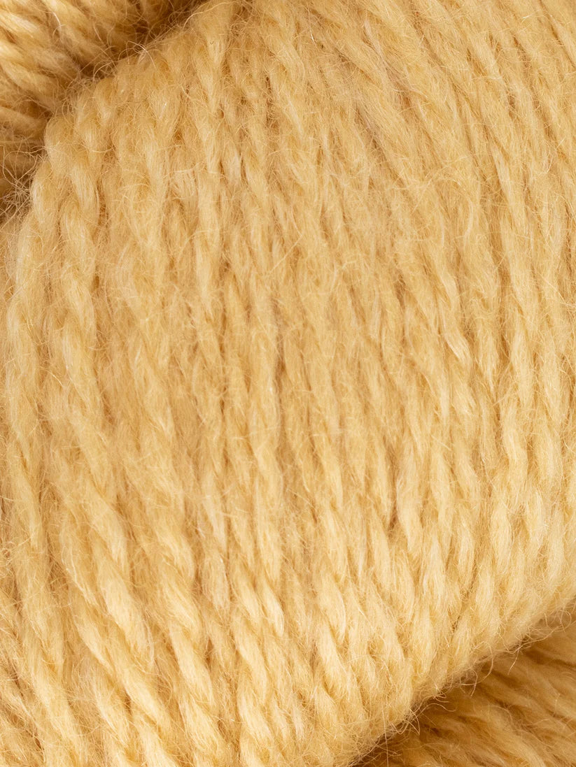 Photo of Yarn in Honey Run from West Yorkshire Spinners-Solstice